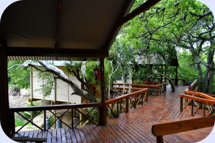 B and B Hoedspruit Lion Tree Top Lodge Hoedspruit