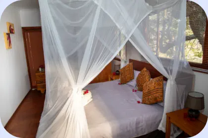 B and B Hoedspruit Nsele Safaris and Lodge