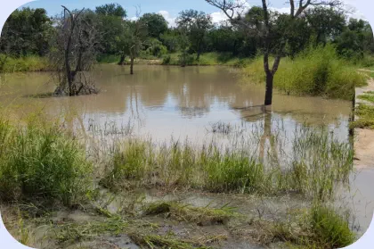 Dam at Lion Tree Top Lodge Hoedspruit