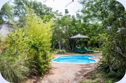 Swimming Pool at Nsele Safaris and Lodge near Hoedspruit